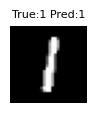 True label 1, predicted label 1