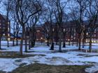 Black statues in a courtyard of academic buildings at dusk